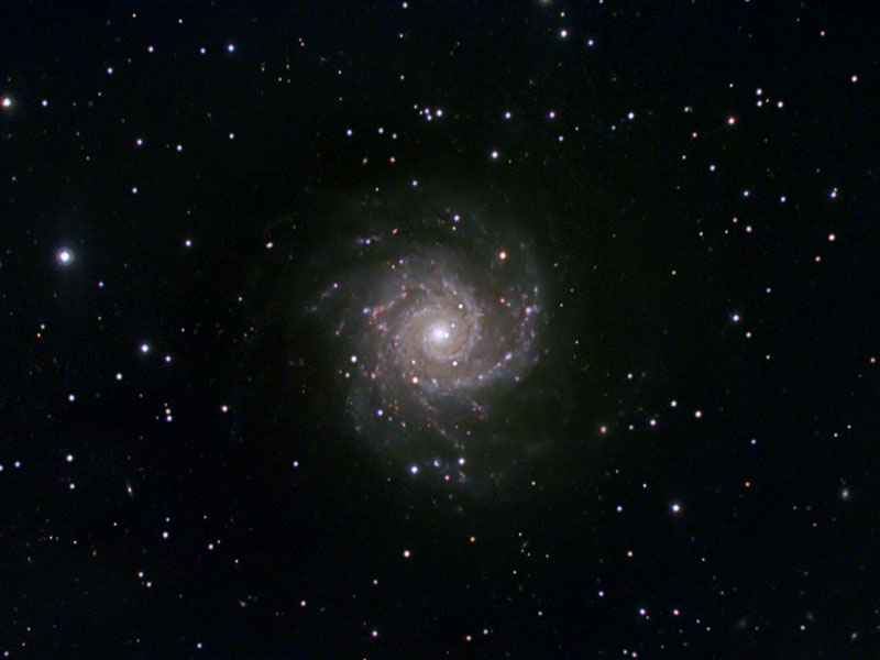 M74 Spiral Galaxy